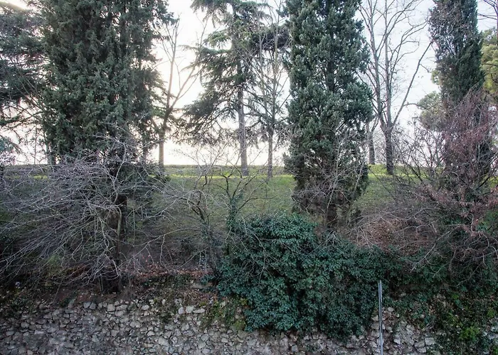 Gabrielli & - Maroncelli * 베로나