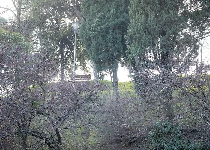 Gabrielli & - Maroncelli * 베로나